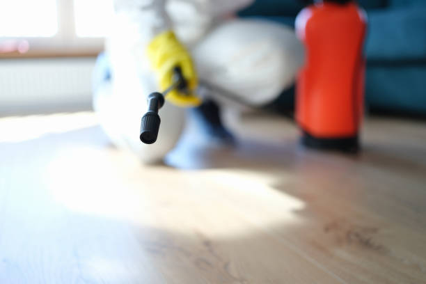 Best Environmental Consulting for Mold Prevention  in Franklin, NC