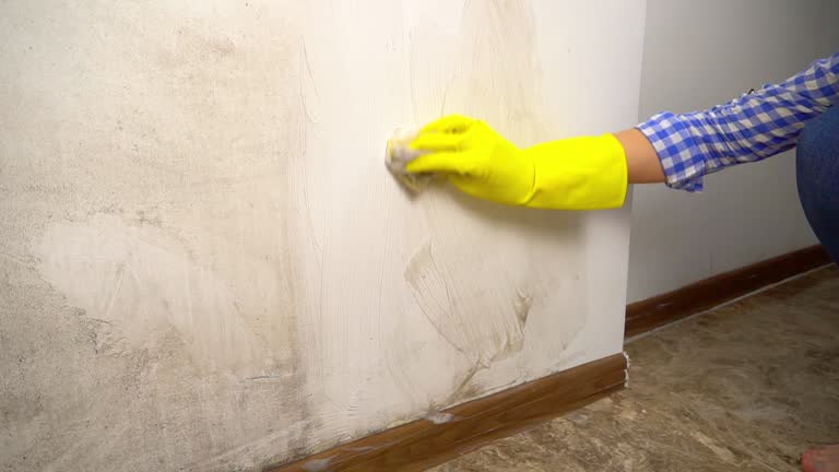 Mold Removal for HVAC Installations in Franklin, NC